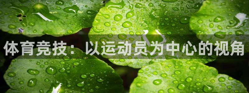 意昂3体育在线注册：体育竞技：以运动员为中心的视角