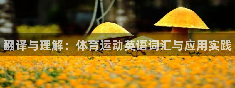 意昂3：翻译与理解：体育运动英语词汇与应用实践