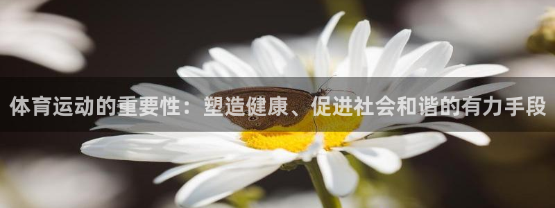 意昂32官网：体育运动的重要性：塑造健康、促进社会和谐的有力手段