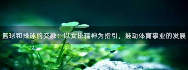 意昂3集团股票：篮球和排球的交融：以女排精神为指引，推动体育事业的发展