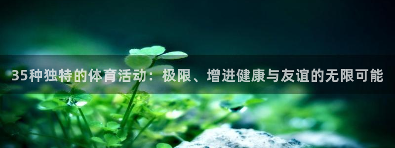 意昂32登录入口：35种独特的体育活动：极限、增进健康与友谊的无限可能