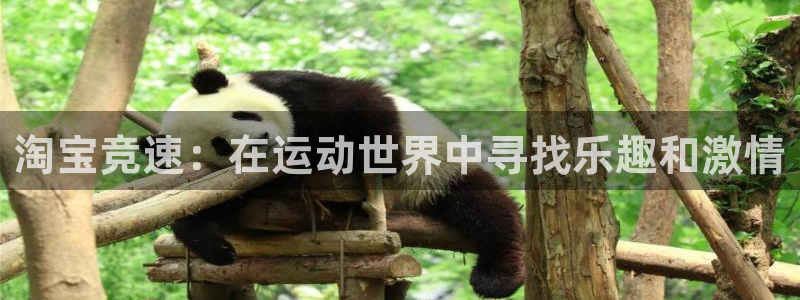 意昂34平台注册：淘宝竞速：在运动世界中寻找乐趣和激情