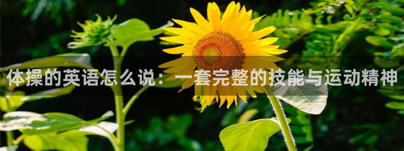 意昂3集团官网：体操的英语怎么说：一套完整的技能与运动精神