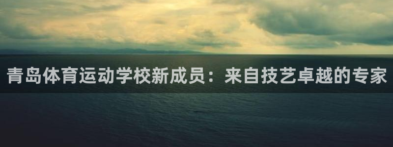 意昂3平台登录注册：青岛体育运动学校新成员：来自技艺卓越的专家