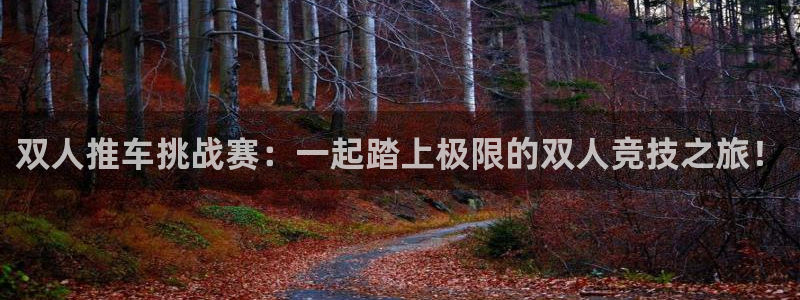 意昂体育：双人推车挑战赛：一起踏上极限的双人竞技之旅！