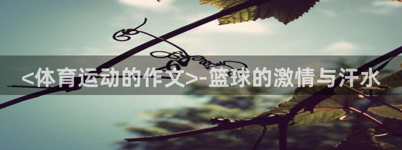 意昂3体育网页版入口：<体育运动的作文>-篮球的激情与汗水